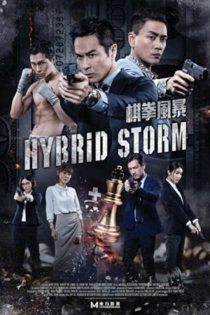 Hybrid Storm