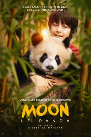 Moon The Panda