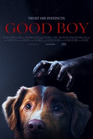 Good Boy