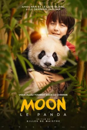 Moon the Panda
