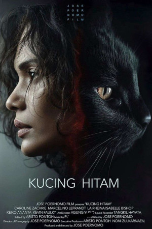 Kucing Hitam